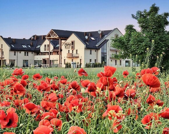Hotel Fajkier - otoczenie i okolica, Park Krajobrazowy Orlich Gniazd